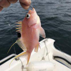 マイボート釣行