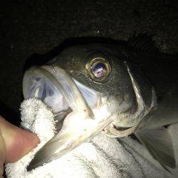 チョット変わった顔