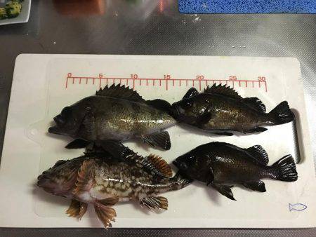 仕事帰りにメバリング