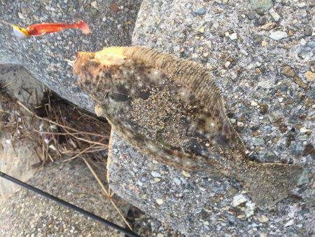 2017 釣り部活動開始です。