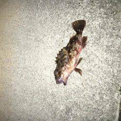 自作キャロで粘りました