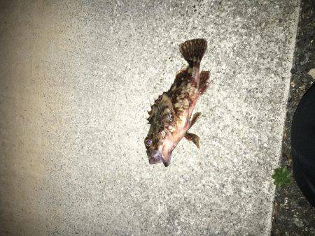 自作キャロで粘りました