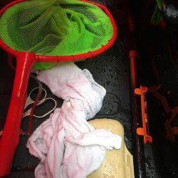 雨でポツポツ釣れました