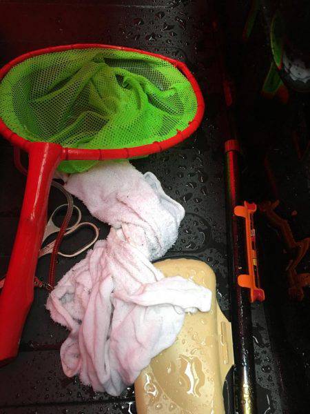 雨でポツポツ釣れました