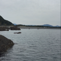 岡山から単身赴任でエギング三昧