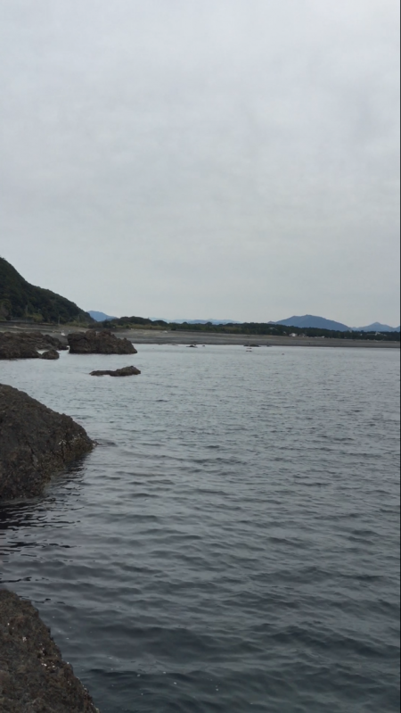 岡山から単身赴任でエギング三昧