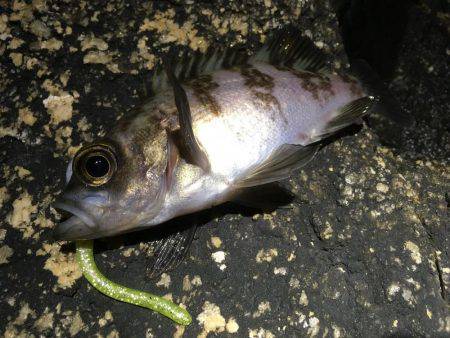 何てシブいんだ！