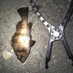 リベンジしかないッ！