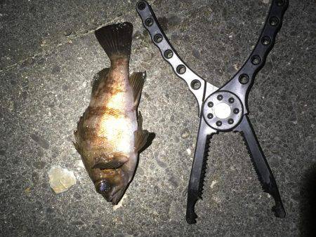 リベンジしかないッ！