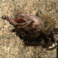 気力の続く限り！