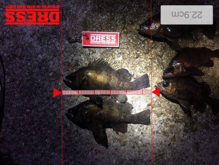 最低これ位は！