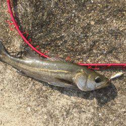 アウェイに出撃