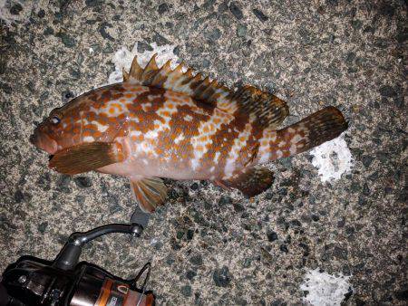 伊根町でのライトゲーム