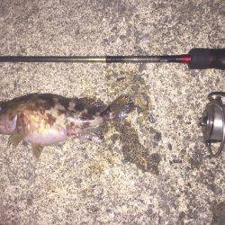 ライトライトライト