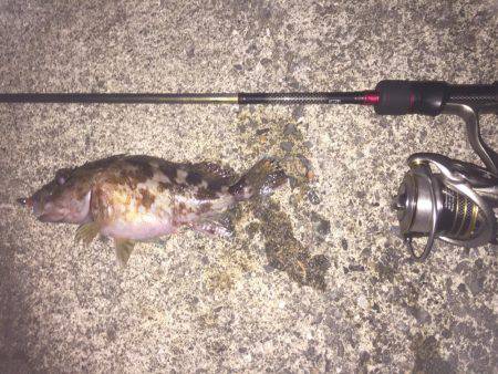 ライトライトライト