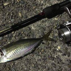 ライトライトライト遠征