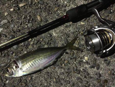 ライトライトライト遠征