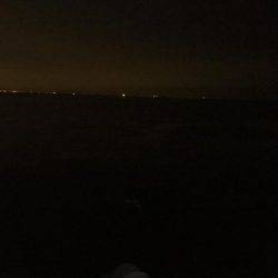 夕まずめにメバル