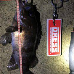 早朝メバリング