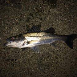 粘ってなんとか。