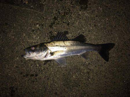 粘ってなんとか。