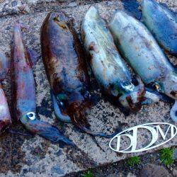 何とかボーズ逃れ