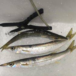 カマスランガン