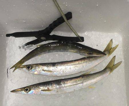 カマスランガン