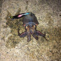 メバリング！！！