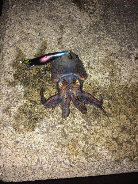 メバリング！！！