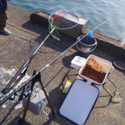 浮きフカセ初チヌ