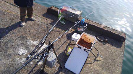 浮きフカセ初チヌ