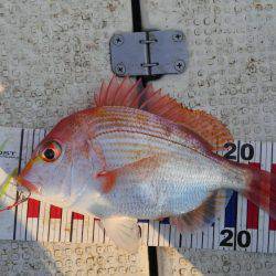 久しぶりに大満足