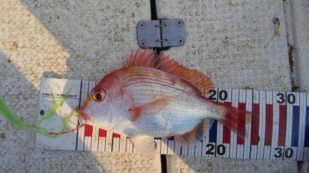 久しぶりに大満足