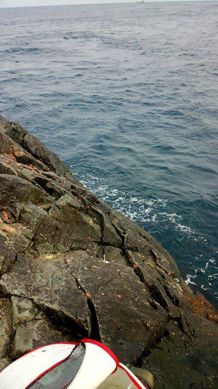 潮岬でグレ釣り