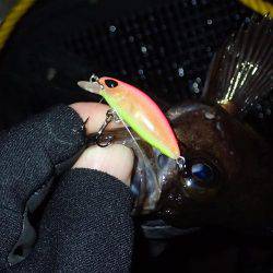 月夜の大潮に大苦戦！