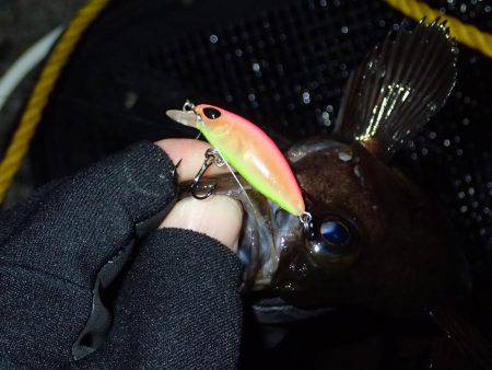 月夜の大潮に大苦戦！