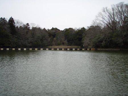 大安トラウトレイク 釣果