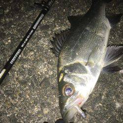 ドリフトメインに