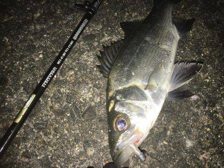 ドリフトメインに