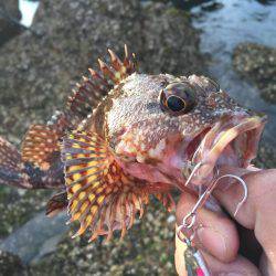 太田和周辺ベイト探しの旅