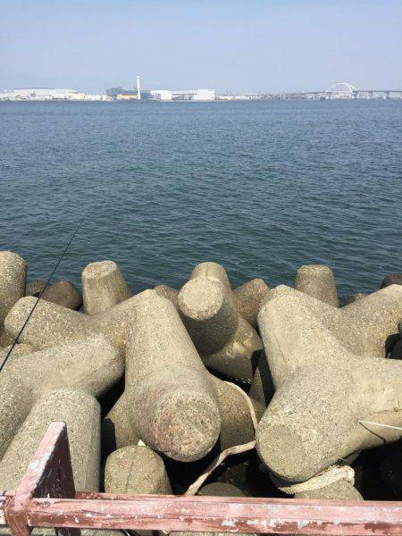 今年初シーバス