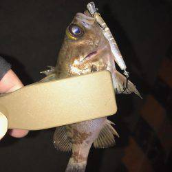 ランガンメバリング