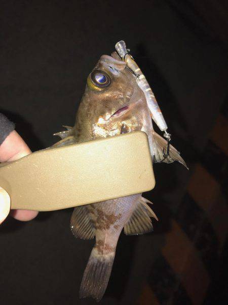 ランガンメバリング