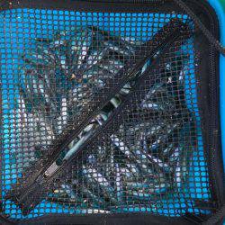 上津ダムのワカサギ、ラストスパート入りか