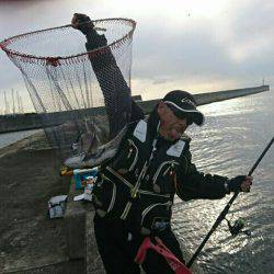 須磨海岸一文字・福田渡船