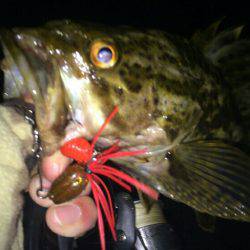 渋いしぶいシブイ。