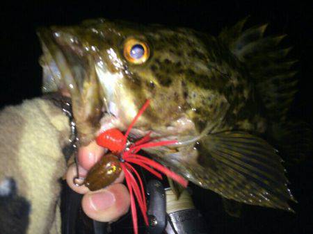 渋いしぶいシブイ。