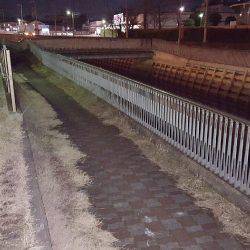 パラダイスらしい!?