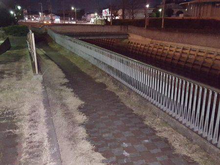 パラダイスらしい!?